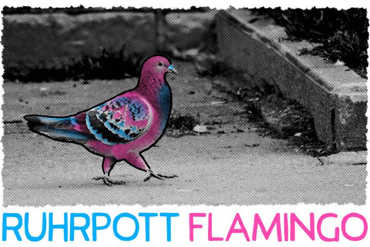 Buddy Olli - Feingut Drucke - Titelbild Ruhrpott Flamingo