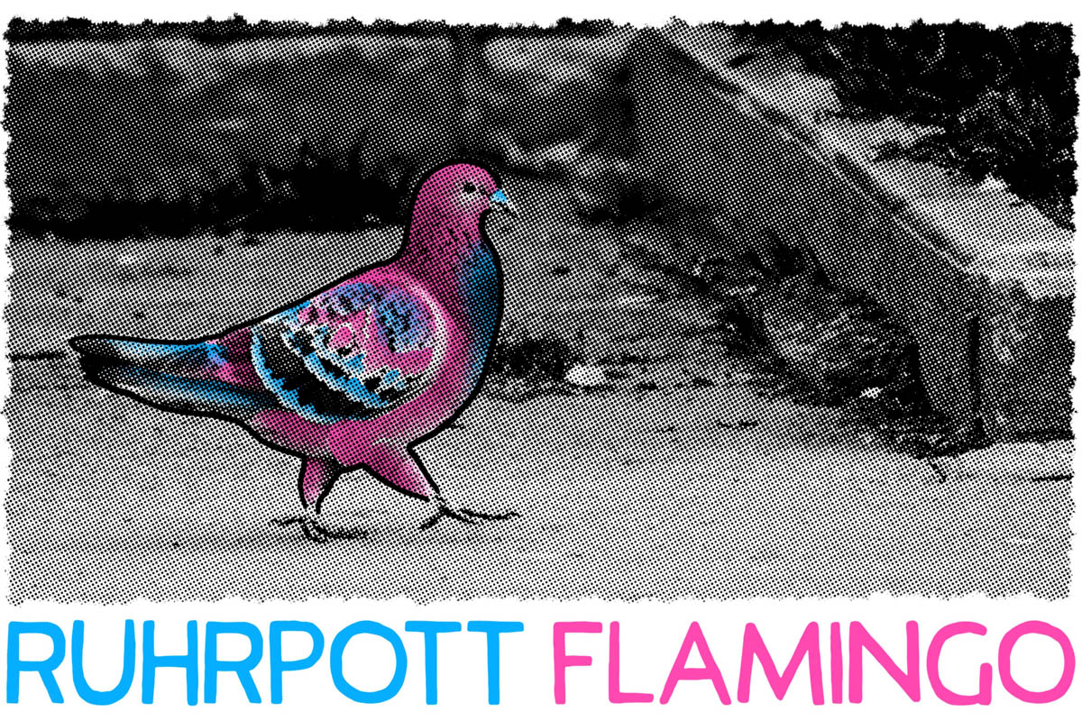 Buddy Olli - Feingut Drucke - Titelbild Ruhrpott Flamingo