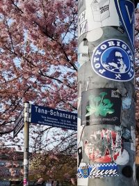 Wolfgang Welt Tour - Tana-Schanzara-Straße