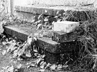 Steinhammerstr. Fotoserie Teil 1 Treppe