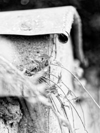 Steinhammerstr. Fotoserie Teil 2 Mauer